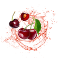 Cherry White Tea / 600g