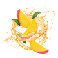 Splash Image