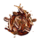Splash Image