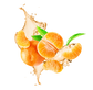 Splash Image