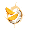 Mango Coconut / 25g Probe