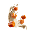 Salted Caramel / 500g