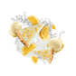 Splash Image