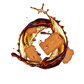 Splash Image