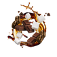 Splash Image